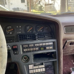 Supra IMG_1334.jpg